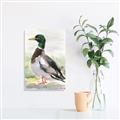 Picture of Wading Away _GroupedProduct_Rectangle_Portrait_Unframed_Print_Only_