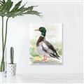 Picture of Wading Away _GroupedProduct_Rectangle_Portrait_Unframed_Print_Only_