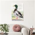 Picture of Wading Away _GroupedProduct_Rectangle_Portrait_Unframed_Print_Only_