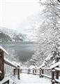 Picture of Snowy Bridge _GroupedProduct_Rectangle_Portrait_Photography _GroupedProduct_Rectangle_Portrait_Unframed_Print_Only_