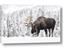 Picture of Winter Moose