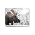 Picture of Elliot, the moose _GroupedProduct_Rectangle_Landscape_Photography _GroupedProduct_Rectangle_Landscape_Canvas_