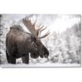 Picture of Elliot, the moose _GroupedProduct_Rectangle_Landscape_Photography _GroupedProduct_Rectangle_Landscape_Canvas_