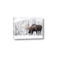 Picture of Winter Moose _GroupedProduct_Rectangle_Landscape_Photography _GroupedProduct_Rectangle_Landscape_Canvas_