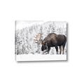 Picture of Winter Moose _GroupedProduct_Rectangle_Landscape_Photography _GroupedProduct_Rectangle_Landscape_Canvas_