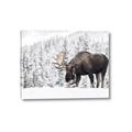 Picture of Winter Moose _GroupedProduct_Rectangle_Landscape_Photography _GroupedProduct_Rectangle_Landscape_Canvas_