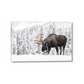Picture of Winter Moose _GroupedProduct_Rectangle_Landscape_Photography _GroupedProduct_Rectangle_Landscape_Canvas_
