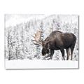 Picture of Winter Moose _GroupedProduct_Rectangle_Landscape_Photography _GroupedProduct_Rectangle_Landscape_Canvas_