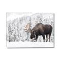 Picture of Winter Moose _GroupedProduct_Rectangle_Landscape_Photography _GroupedProduct_Rectangle_Landscape_Canvas_