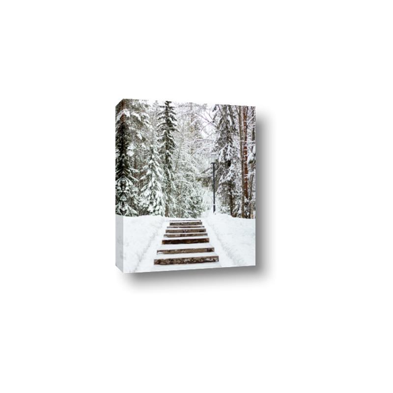 Picture of Winter's Kiss _GroupedProduct_Rectangle_Portrait_Photography _GroupedProduct_Rectangle_Portrait_Canvas_