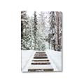Picture of Winter's Kiss _GroupedProduct_Rectangle_Portrait_Photography _GroupedProduct_Rectangle_Portrait_Canvas_