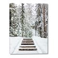 Picture of Winter's Kiss _GroupedProduct_Rectangle_Portrait_Photography _GroupedProduct_Rectangle_Portrait_Canvas_