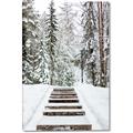 Picture of Winter's Kiss _GroupedProduct_Rectangle_Portrait_Photography _GroupedProduct_Rectangle_Portrait_Canvas_
