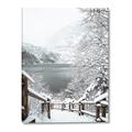 Picture of Snowy Bridge _GroupedProduct_Rectangle_Portrait_Photography _GroupedProduct_Rectangle_Portrait_Canvas_
