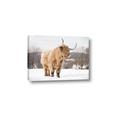 Picture of Fluffy Friend _GroupedProduct_Rectangle_Landscape_Photography _GroupedProduct_Rectangle_Landscape_Canvas_