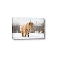 Picture of Fluffy Friend _GroupedProduct_Rectangle_Landscape_Photography _GroupedProduct_Rectangle_Landscape_Canvas_