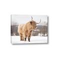 Picture of Fluffy Friend _GroupedProduct_Rectangle_Landscape_Photography _GroupedProduct_Rectangle_Landscape_Canvas_