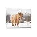 Picture of Fluffy Friend _GroupedProduct_Rectangle_Landscape_Photography _GroupedProduct_Rectangle_Landscape_Canvas_