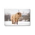Picture of Fluffy Friend _GroupedProduct_Rectangle_Landscape_Photography _GroupedProduct_Rectangle_Landscape_Canvas_