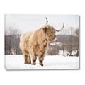 Picture of Fluffy Friend _GroupedProduct_Rectangle_Landscape_Photography _GroupedProduct_Rectangle_Landscape_Canvas_