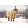 Picture of Fluffy Friend _GroupedProduct_Rectangle_Landscape_Photography _GroupedProduct_Rectangle_Landscape_Canvas_