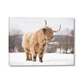 Picture of Fluffy Friend _GroupedProduct_Rectangle_Landscape_Photography _GroupedProduct_Rectangle_Landscape_Canvas_