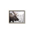 Picture of Elliot, the moose _GroupedProduct_Rectangle_Landscape_Photography _GroupedProduct_Rectangle_Landscape_Canvas_Framed_