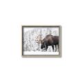 Picture of Winter Moose _GroupedProduct_Rectangle_Landscape_Photography _GroupedProduct_Rectangle_Landscape_Canvas_Framed_
