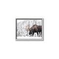 Picture of Winter Moose _GroupedProduct_Rectangle_Landscape_Photography _GroupedProduct_Rectangle_Landscape_Canvas_Framed_