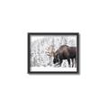 Picture of Winter Moose _GroupedProduct_Rectangle_Landscape_Photography _GroupedProduct_Rectangle_Landscape_Canvas_Framed_