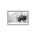 Picture of Winter Moose _GroupedProduct_Rectangle_Landscape_Photography _GroupedProduct_Rectangle_Landscape_Canvas_Framed_