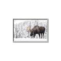 Picture of Winter Moose _GroupedProduct_Rectangle_Landscape_Photography _GroupedProduct_Rectangle_Landscape_Canvas_Framed_