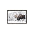 Picture of Winter Moose _GroupedProduct_Rectangle_Landscape_Photography _GroupedProduct_Rectangle_Landscape_Canvas_Framed_