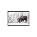 Picture of Winter Moose _GroupedProduct_Rectangle_Landscape_Photography _GroupedProduct_Rectangle_Landscape_Canvas_Framed_