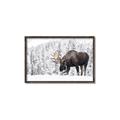 Picture of Winter Moose _GroupedProduct_Rectangle_Landscape_Photography _GroupedProduct_Rectangle_Landscape_Canvas_Framed_