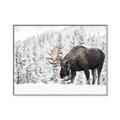 Picture of Winter Moose _GroupedProduct_Rectangle_Landscape_Photography _GroupedProduct_Rectangle_Landscape_Canvas_Framed_