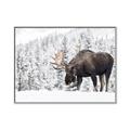 Picture of Winter Moose _GroupedProduct_Rectangle_Landscape_Photography _GroupedProduct_Rectangle_Landscape_Canvas_Framed_