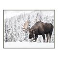 Picture of Winter Moose _GroupedProduct_Rectangle_Landscape_Photography _GroupedProduct_Rectangle_Landscape_Canvas_Framed_