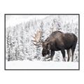 Picture of Winter Moose _GroupedProduct_Rectangle_Landscape_Photography _GroupedProduct_Rectangle_Landscape_Canvas_Framed_