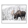 Picture of Winter Moose _GroupedProduct_Rectangle_Landscape_Photography _GroupedProduct_Rectangle_Landscape_Canvas_Framed_