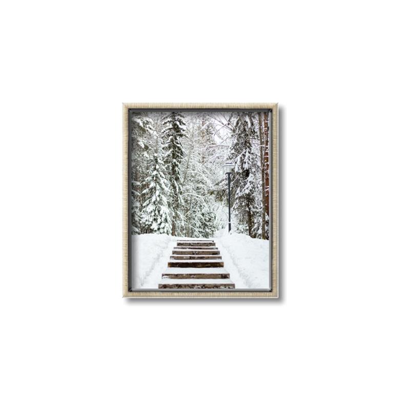 Picture of Winter's Kiss _GroupedProduct_Rectangle_Portrait_Photography _GroupedProduct_Rectangle_Portrait_Canvas_Framed_