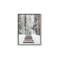 Picture of Winter's Kiss _GroupedProduct_Rectangle_Portrait_Photography _GroupedProduct_Rectangle_Portrait_Canvas_Framed_