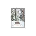 Picture of Winter's Kiss _GroupedProduct_Rectangle_Portrait_Photography _GroupedProduct_Rectangle_Portrait_Canvas_Framed_