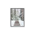 Picture of Winter's Kiss _GroupedProduct_Rectangle_Portrait_Photography _GroupedProduct_Rectangle_Portrait_Canvas_Framed_