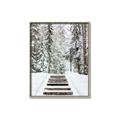 Picture of Winter's Kiss _GroupedProduct_Rectangle_Portrait_Photography _GroupedProduct_Rectangle_Portrait_Canvas_Framed_