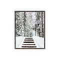 Picture of Winter's Kiss _GroupedProduct_Rectangle_Portrait_Photography _GroupedProduct_Rectangle_Portrait_Canvas_Framed_