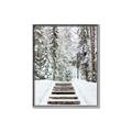 Picture of Winter's Kiss _GroupedProduct_Rectangle_Portrait_Photography _GroupedProduct_Rectangle_Portrait_Canvas_Framed_