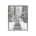 Picture of Winter's Kiss _GroupedProduct_Rectangle_Portrait_Photography _GroupedProduct_Rectangle_Portrait_Canvas_Framed_