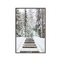 Picture of Winter's Kiss _GroupedProduct_Rectangle_Portrait_Photography _GroupedProduct_Rectangle_Portrait_Canvas_Framed_