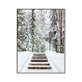 Picture of Winter's Kiss _GroupedProduct_Rectangle_Portrait_Photography _GroupedProduct_Rectangle_Portrait_Canvas_Framed_